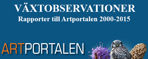Artportalen_vaxter