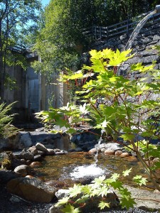 Japanska Trädgården